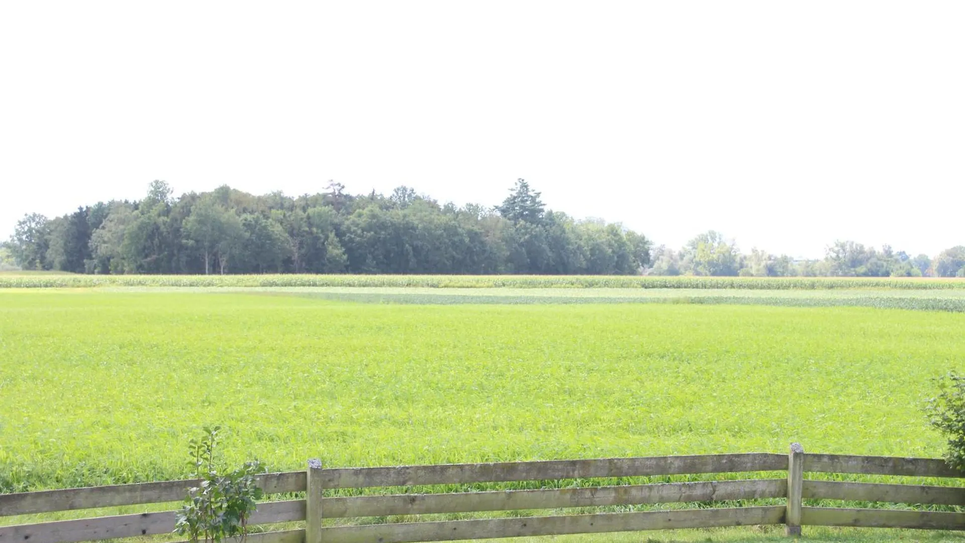 Erwachsenen Aparthotel Naturidyll - Der Wieserhof Bad Füssing アパート